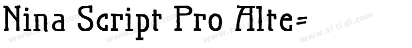 Nina Script Pro Alte字体转换